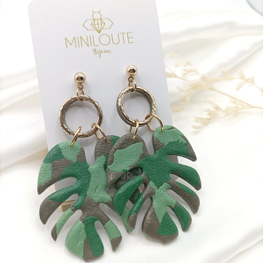 Monstera