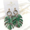 Monstera
